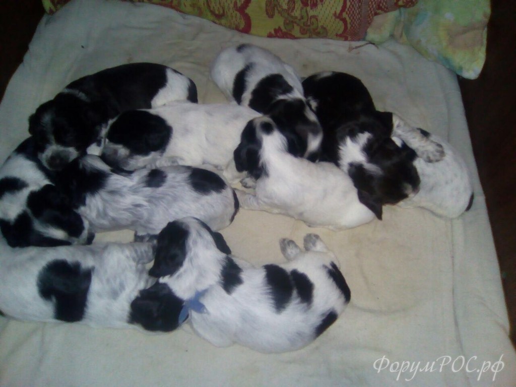 IMG-20180214-WA0001.jpg