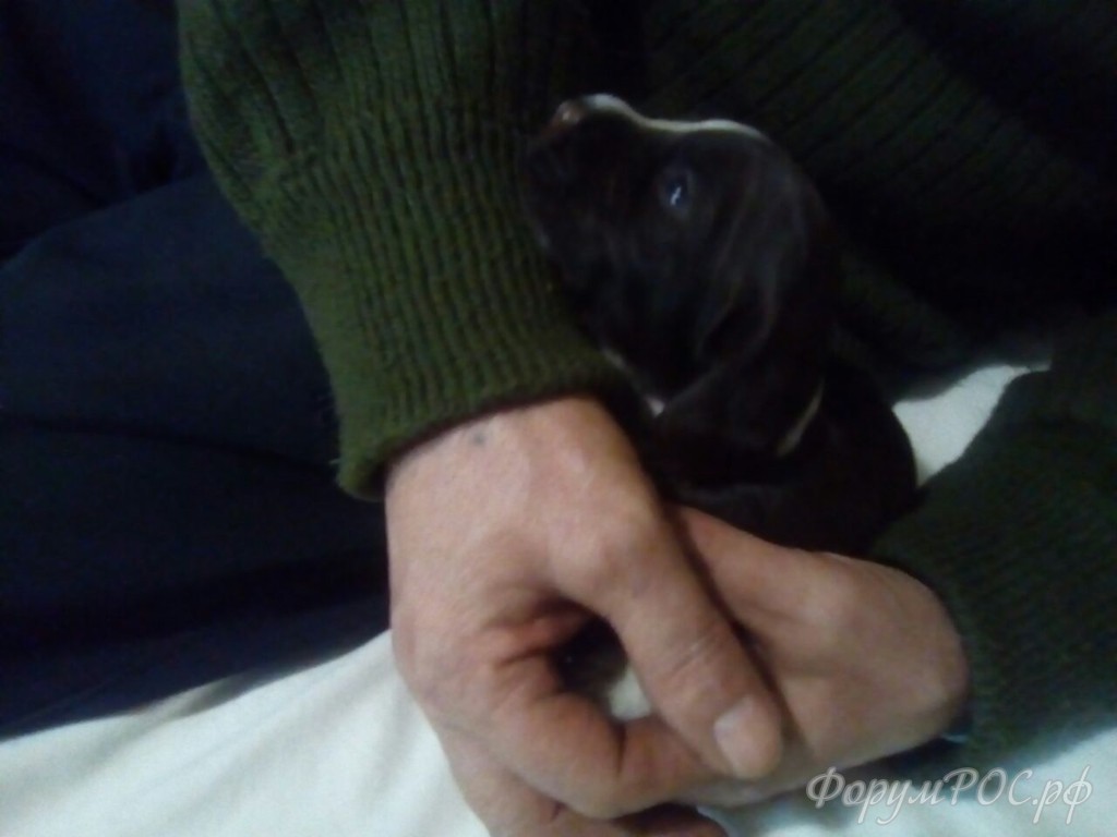 IMG-20180211-WA0009.jpg
