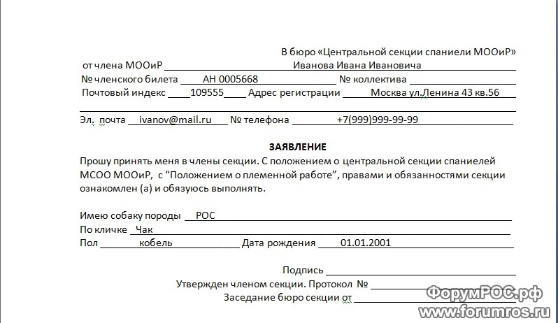 Образец заявления на вступление в секцию.jpg