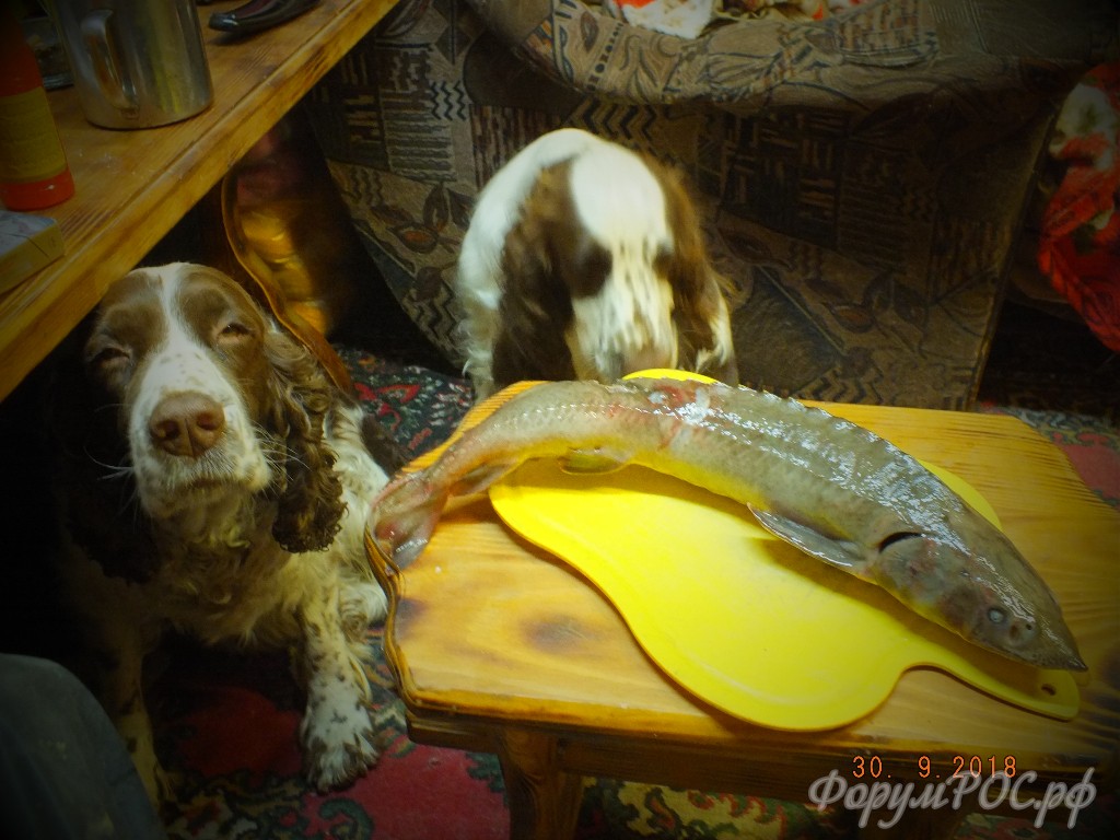 DSCF1594.JPG