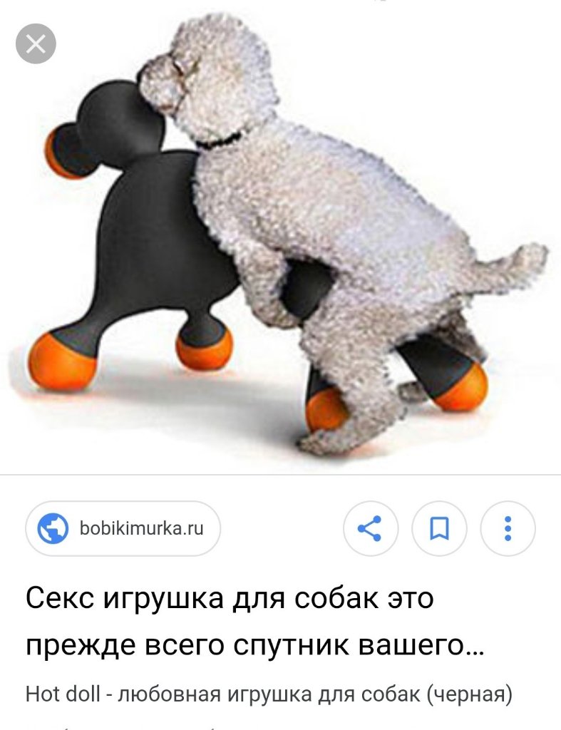 kcBQeVwKdFk.jpg