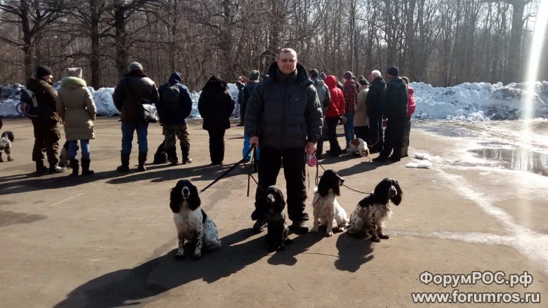 Выводка 2016 МООиР в Кусково.jpg