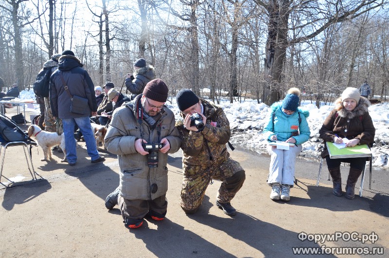 DSC_0076.JPG