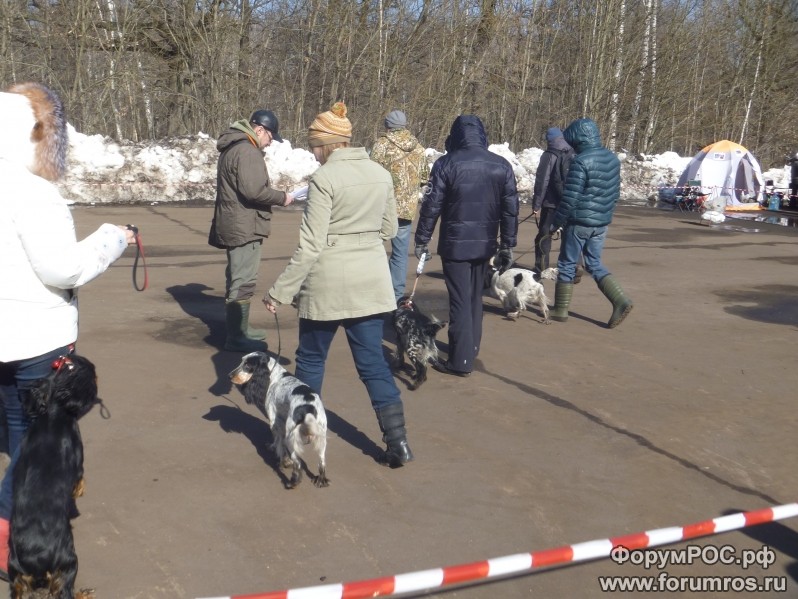 Nu_myi poshli_798x599.jpg
