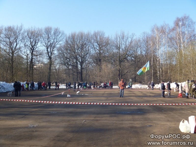 Vyivodka MOOiR 2016(2)_798x599.jpg