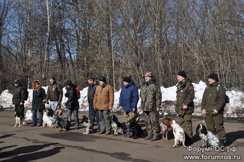 DSC_1036_2.JPG