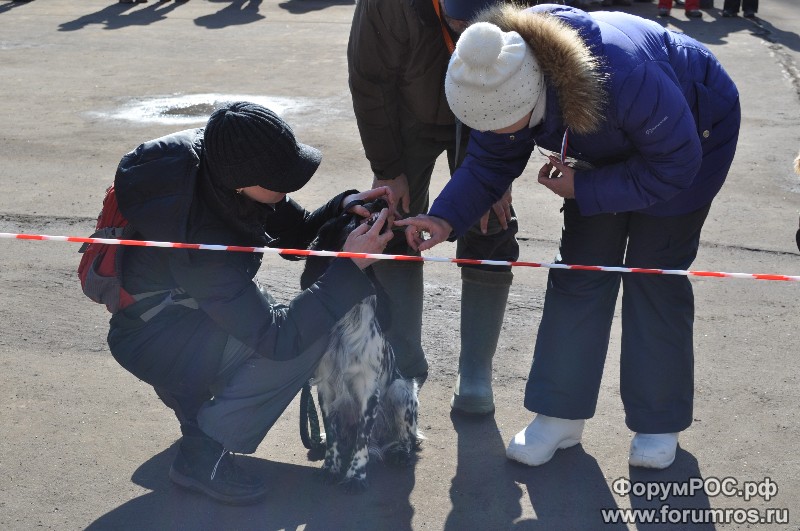 DSC_1043_2.JPG
