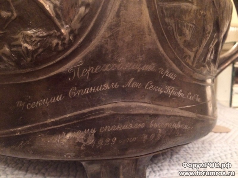 IMG-20160307-WA0002.jpg
