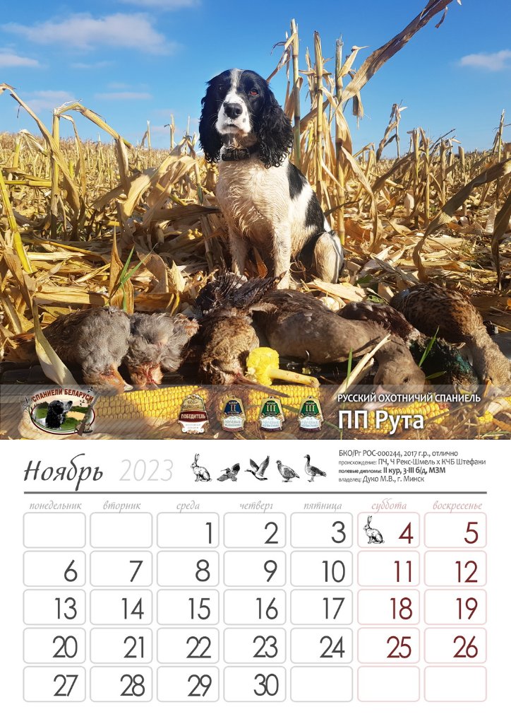 11ноябрьРута.jpg