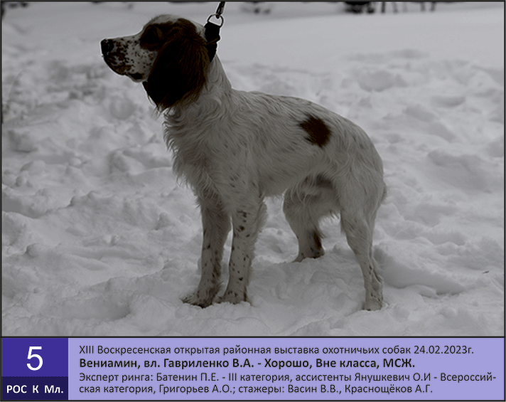 РОС_К-Мл-5_Вениамин.gif