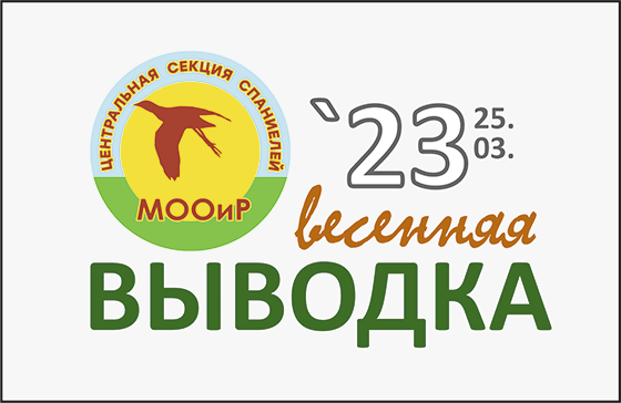 ВЫВОДКА-ЦСС-МООиР_3_1.gif
