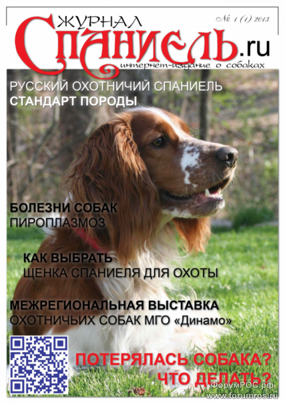 JournalSpaniel_1_798x1128_781x1104_639x903.png