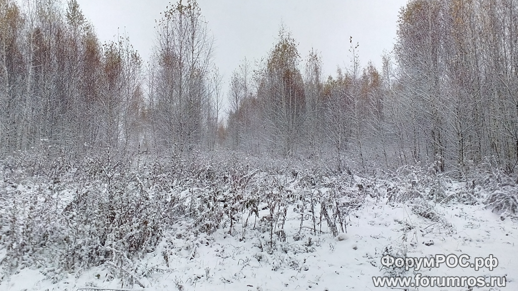 IMG_20161030_085044_v1.png