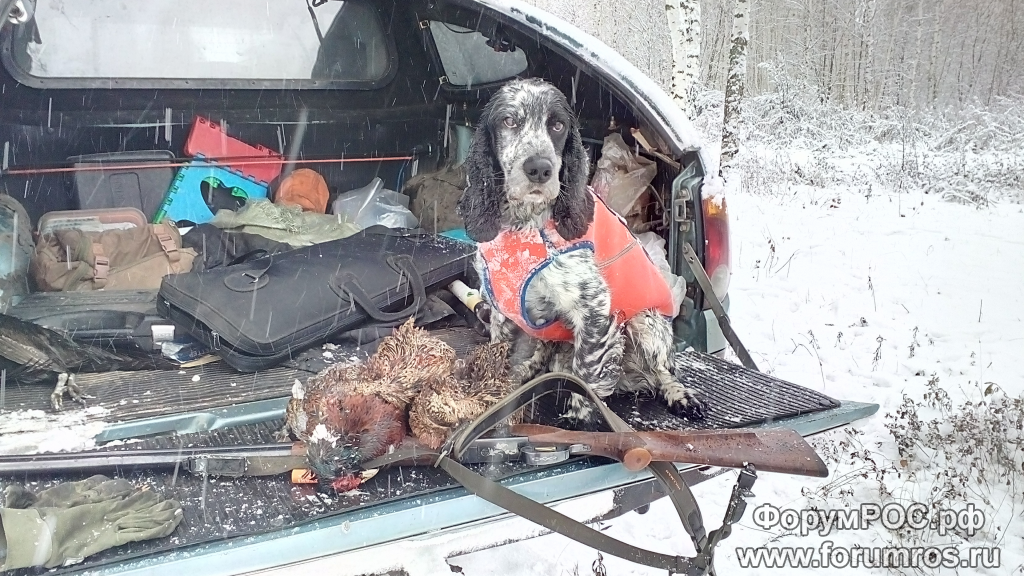 IMG_20161030_103940_v1.png