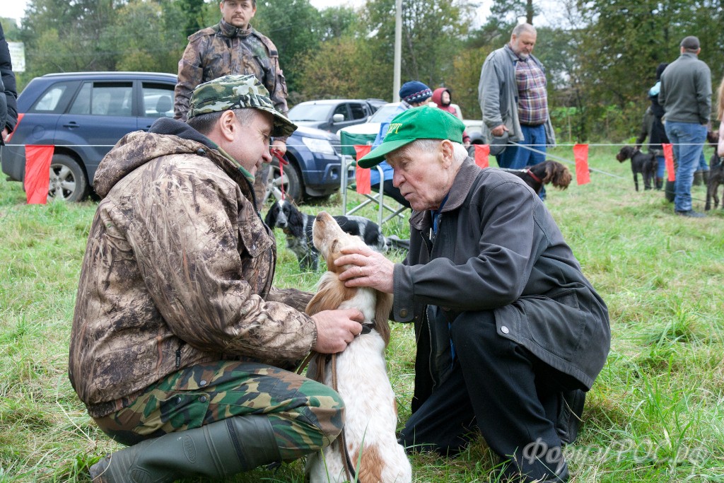 Puschkinskaya 24 spt 2016-085.jpg