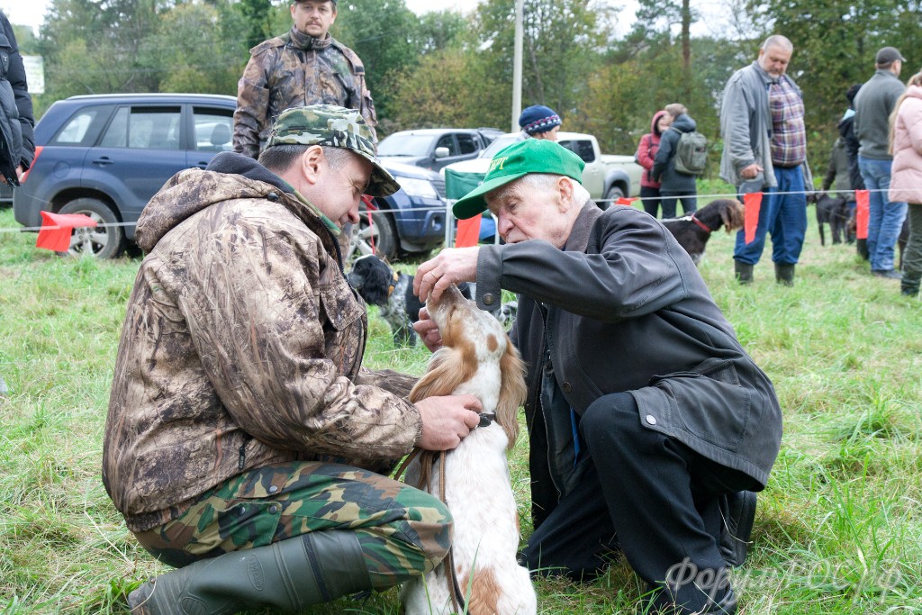 Puschkinskaya 24 spt 2016-086.jpg