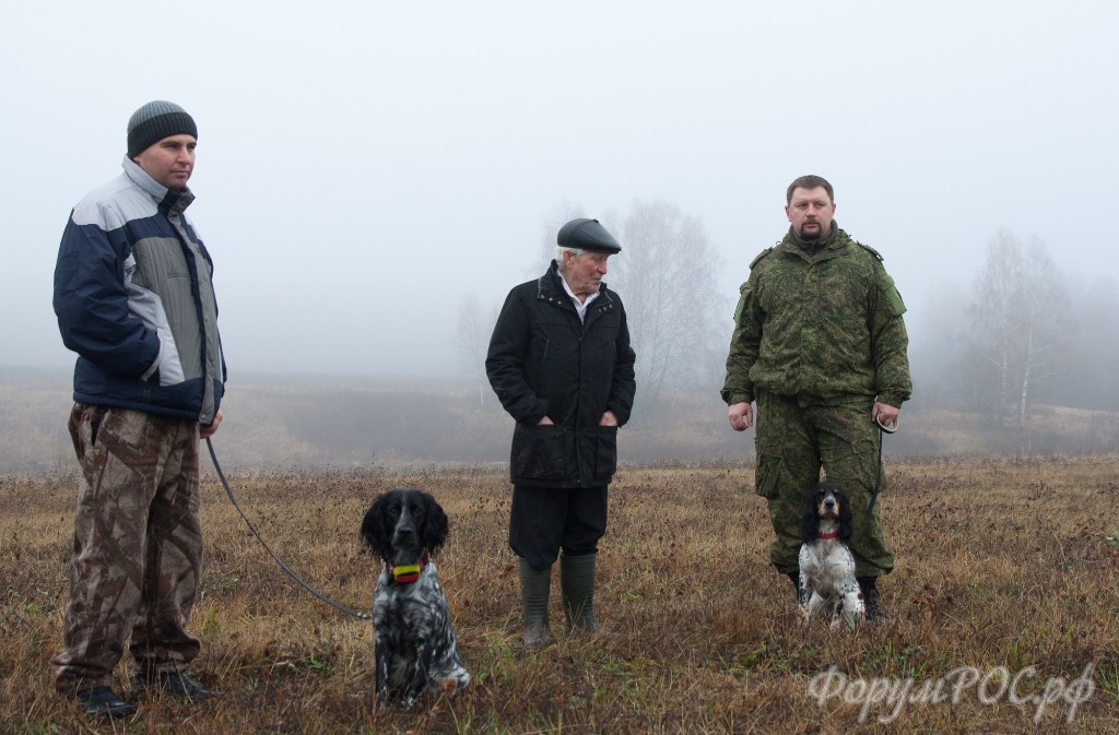 Golovinka 4_nov_2015-029.jpg