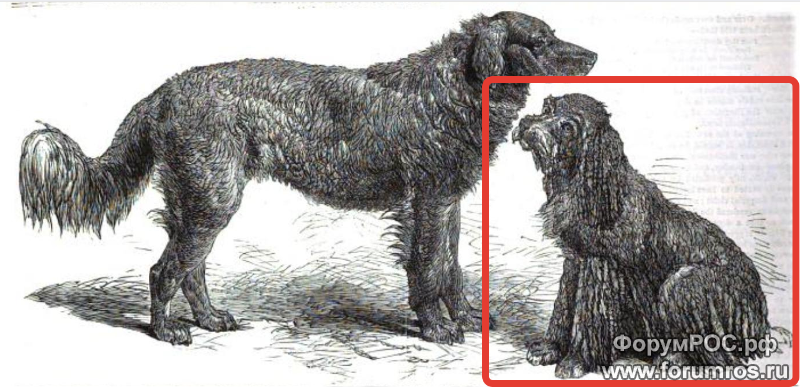 2016-01-12 22-03-06 Скриншот экрана.png