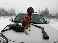 Аватара пользователя