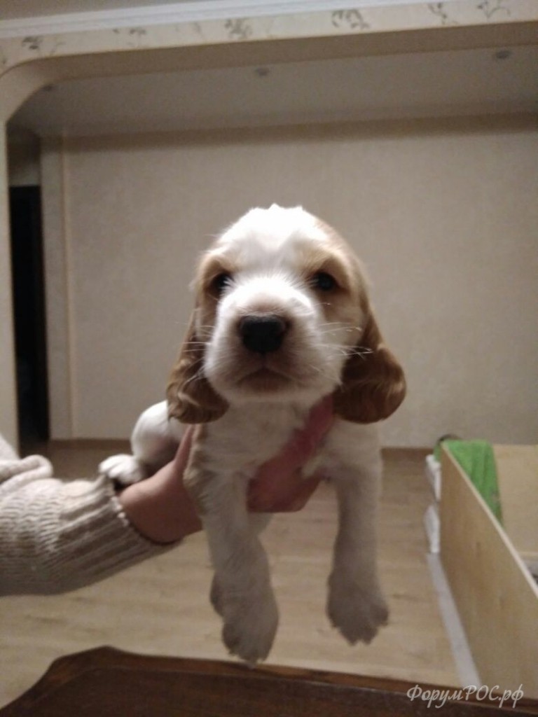IMG-20180309-WA0001.jpg