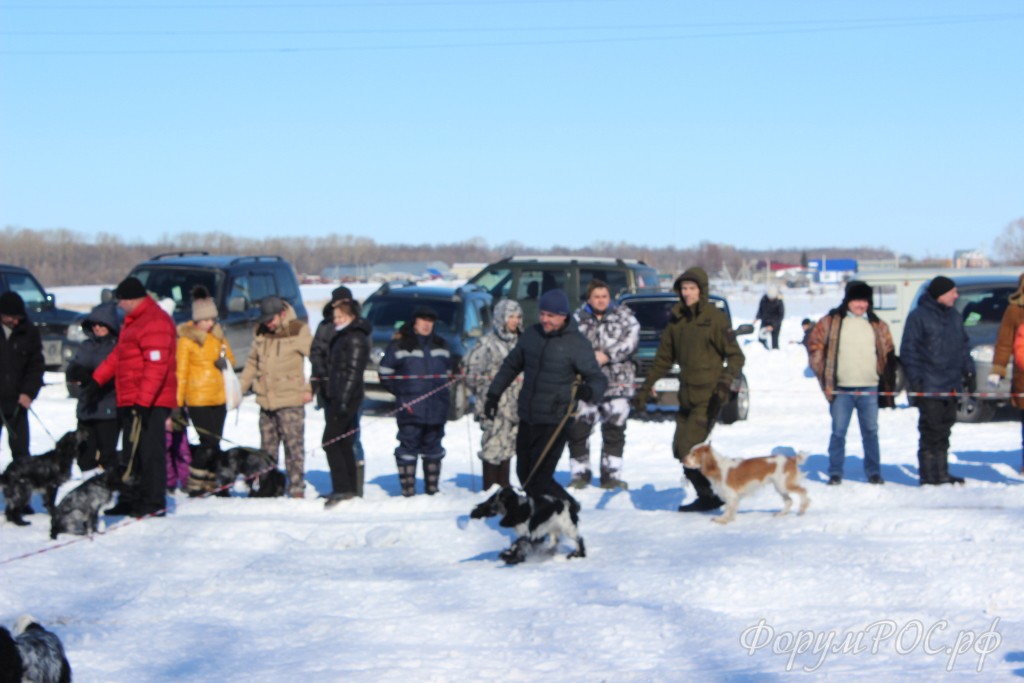 IMG_5023.JPG