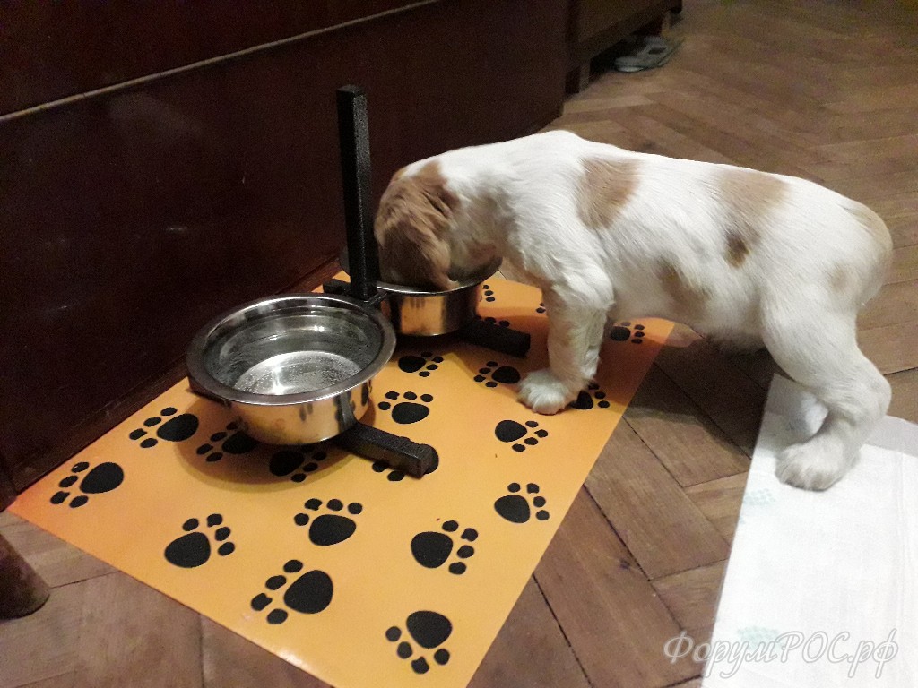 20180320_185147.jpg