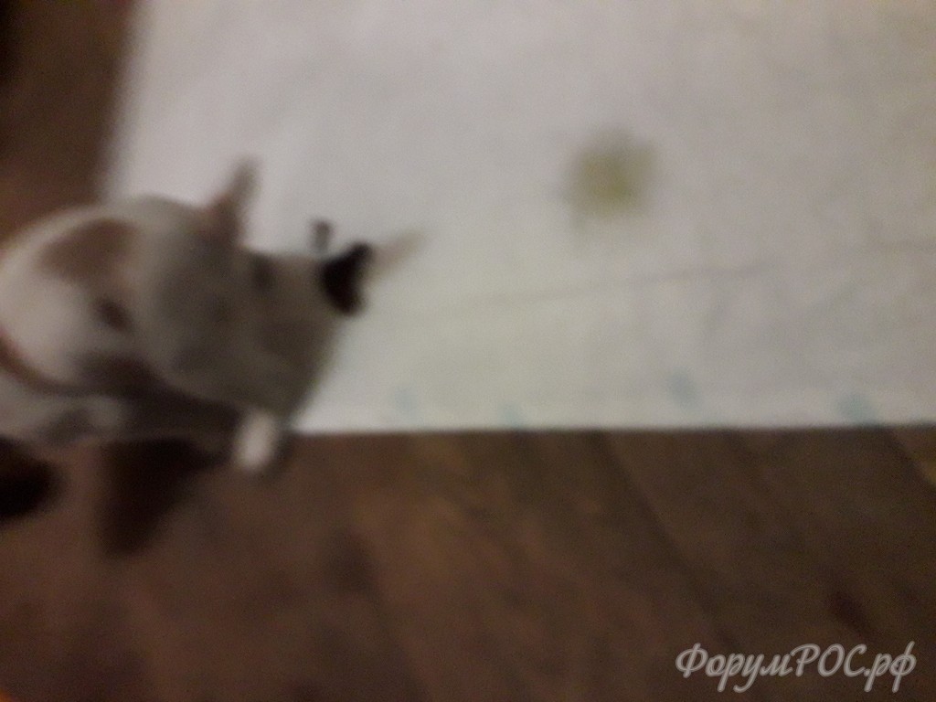 20180320_213704.jpg