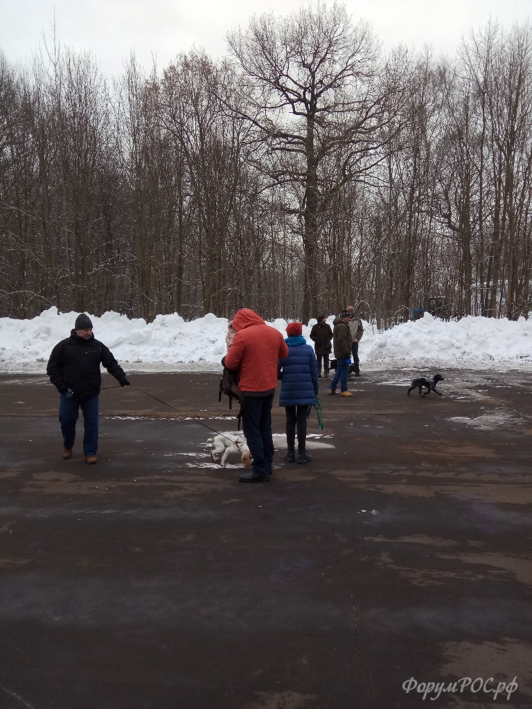 IMG_20180331_093106.jpg