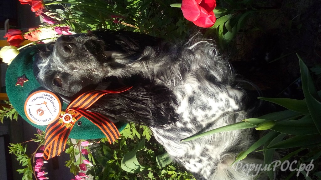 20180509_173454.jpg