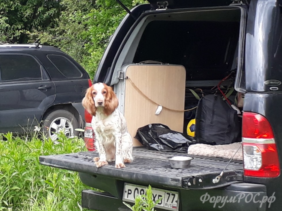 20180613_185833.jpg