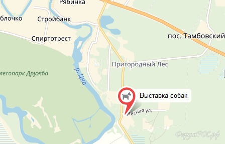 Безымянный.png