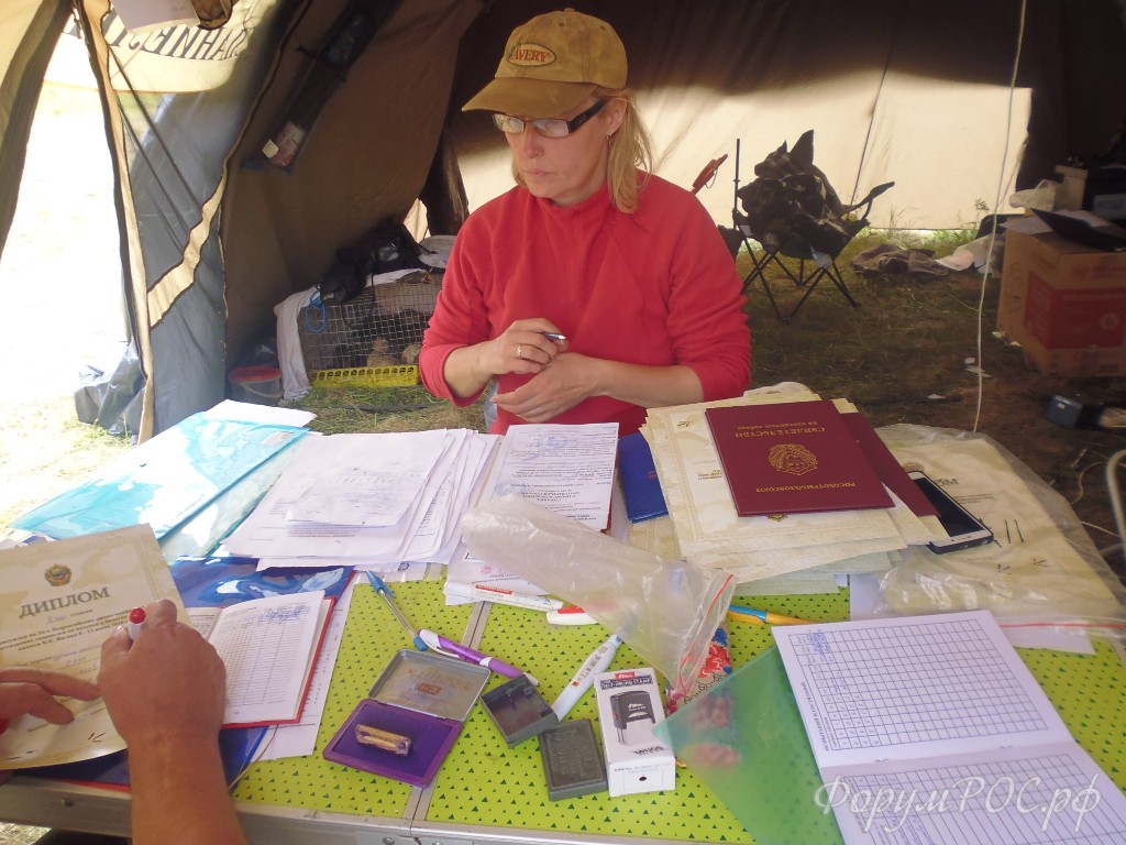 P1010693.JPG