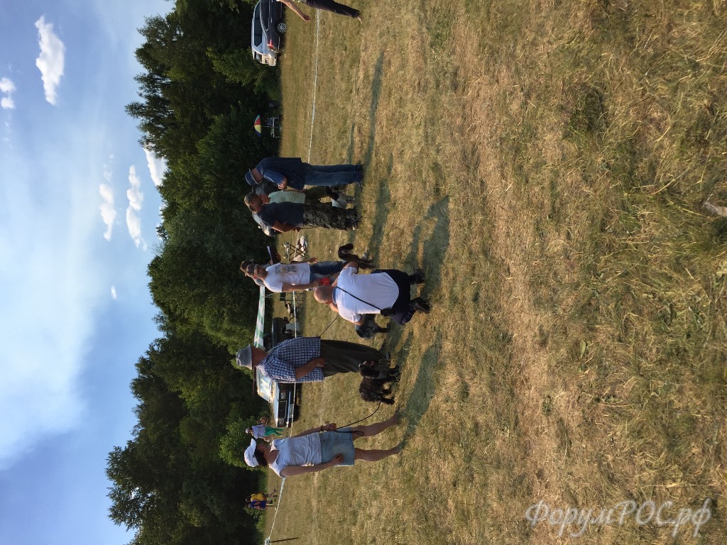 IMG_5462.JPG