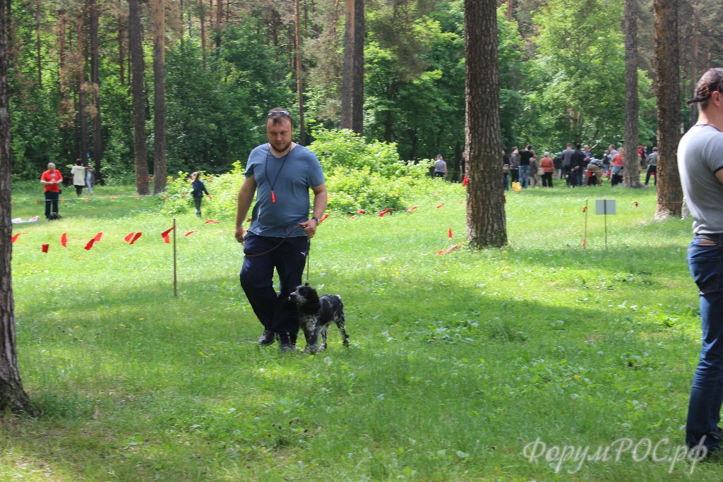 IMG_5561.JPG
