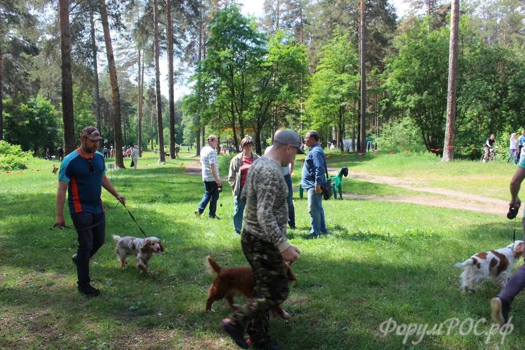 IMG_5571.JPG