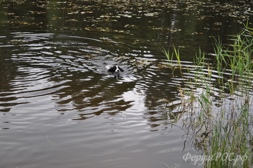 DSC_0042.JPG