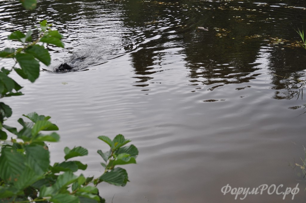 DSC_0039.JPG