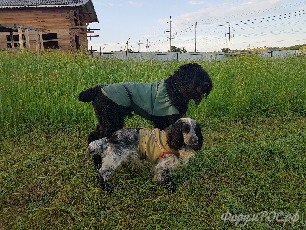 20180630_200252.jpg