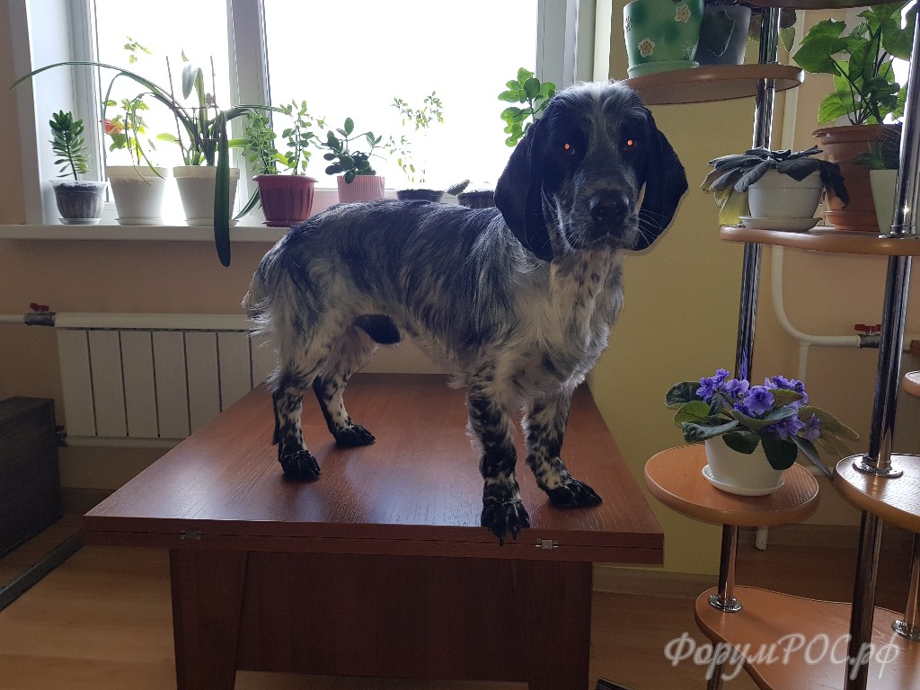 20170709_120645.jpg