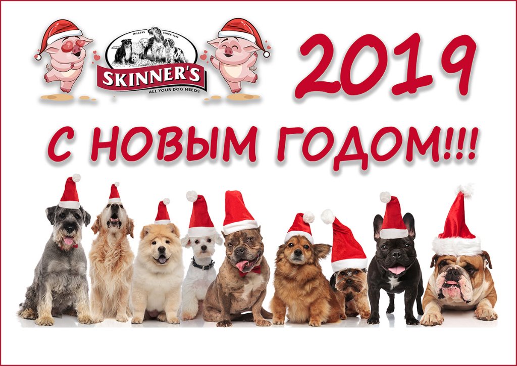 Новый Год 1200.jpg