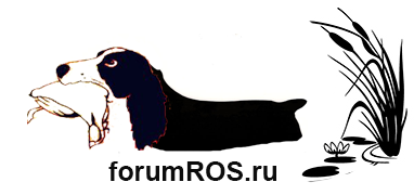 forumros.png