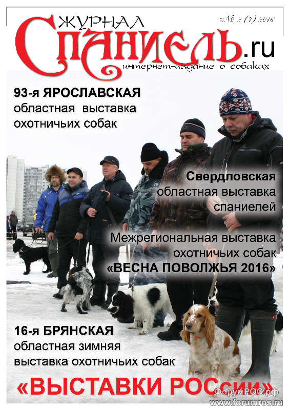 JournalSpaniel_2016_7.png