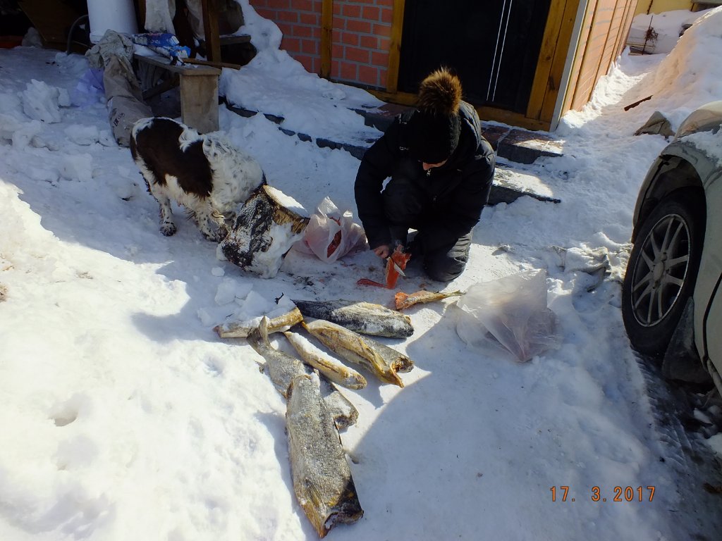 DSCF8648.JPG