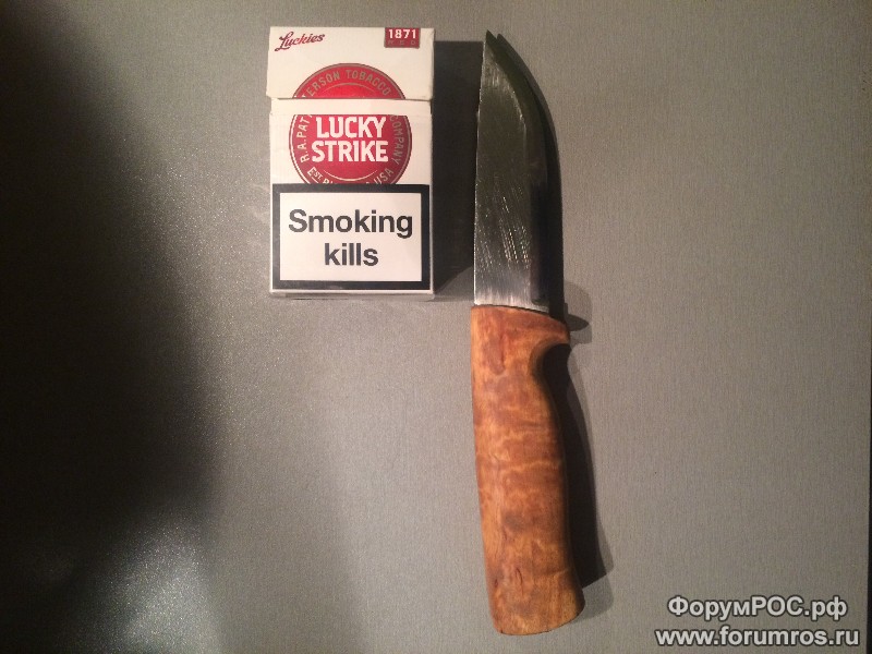 image.jpeg
