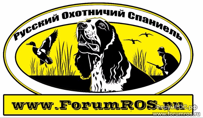 наклейка.jpg
