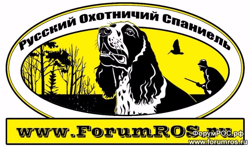 Наклейка- валюша.jpg