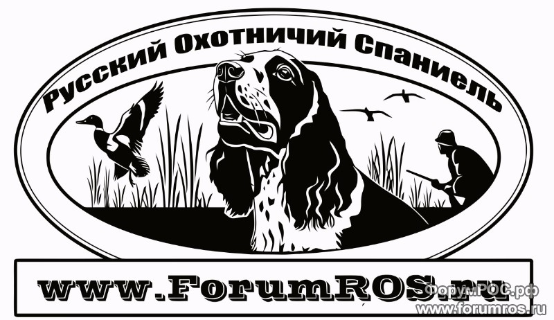 наклейка-утка.jpg