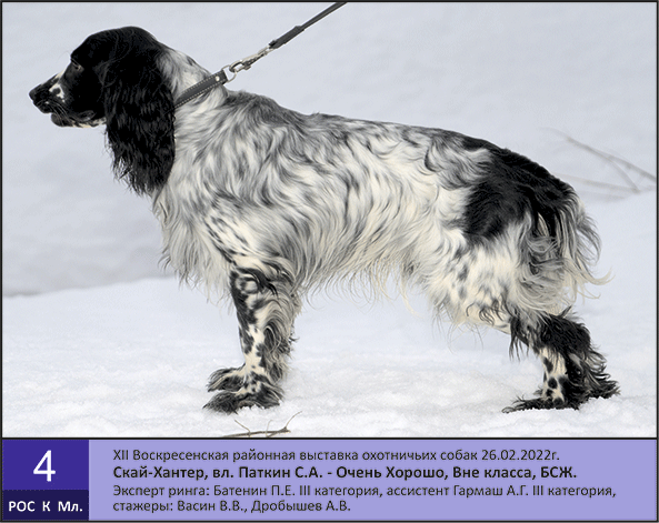 РОС_К-Мл-4_Скай-Хантер.gif