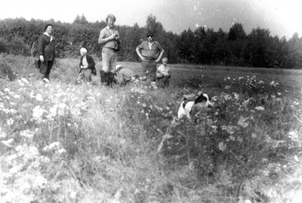 Состязания спаниелей по утке в кирове 1978г. флоя несёт утку.jpg