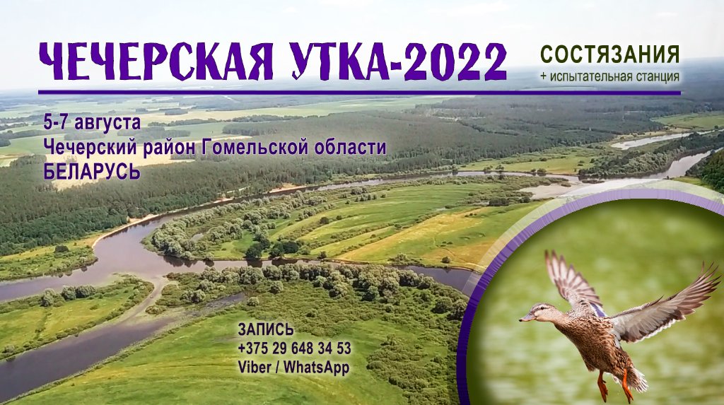 чечерская утка.jpg